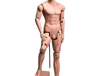 Male Lifelike Posable Mannequin (TMK-MZ-HM01)