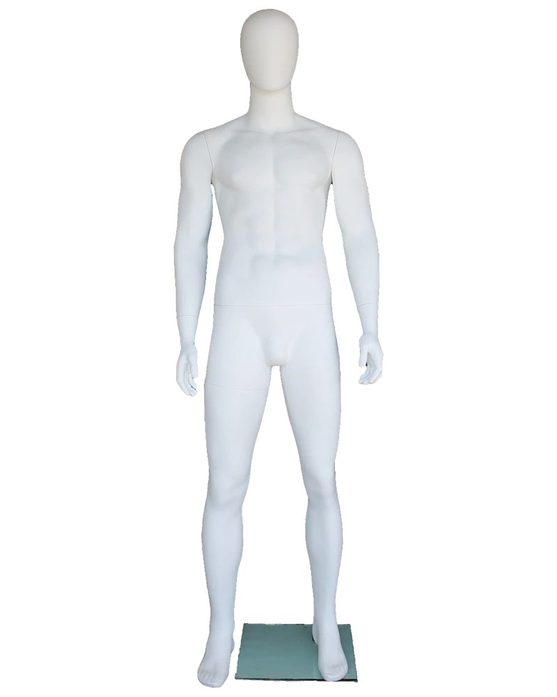 Muscular arms-at-sides egghead male mannequin in matte white, SFM69E-WT