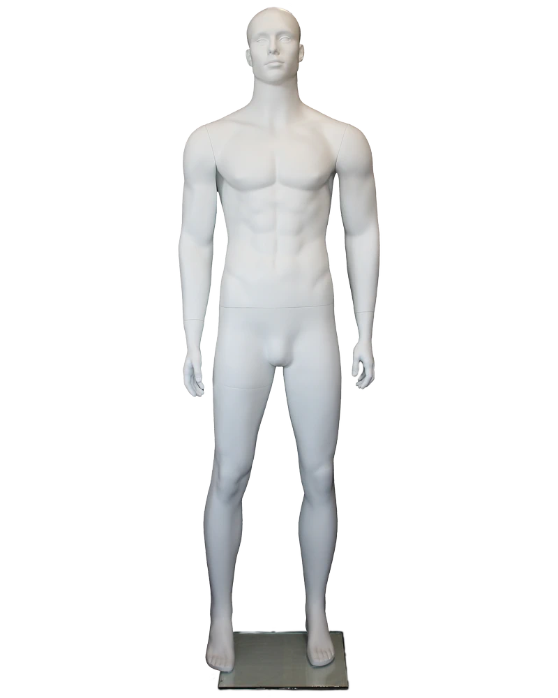Muscular bald-head featured-face male mannequin in matte white, SFM6-WT