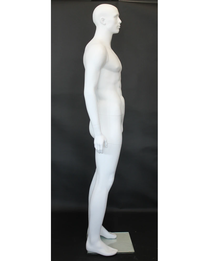 Muscular bald-head featured-face male mannequin in matte white, SFM6-WT