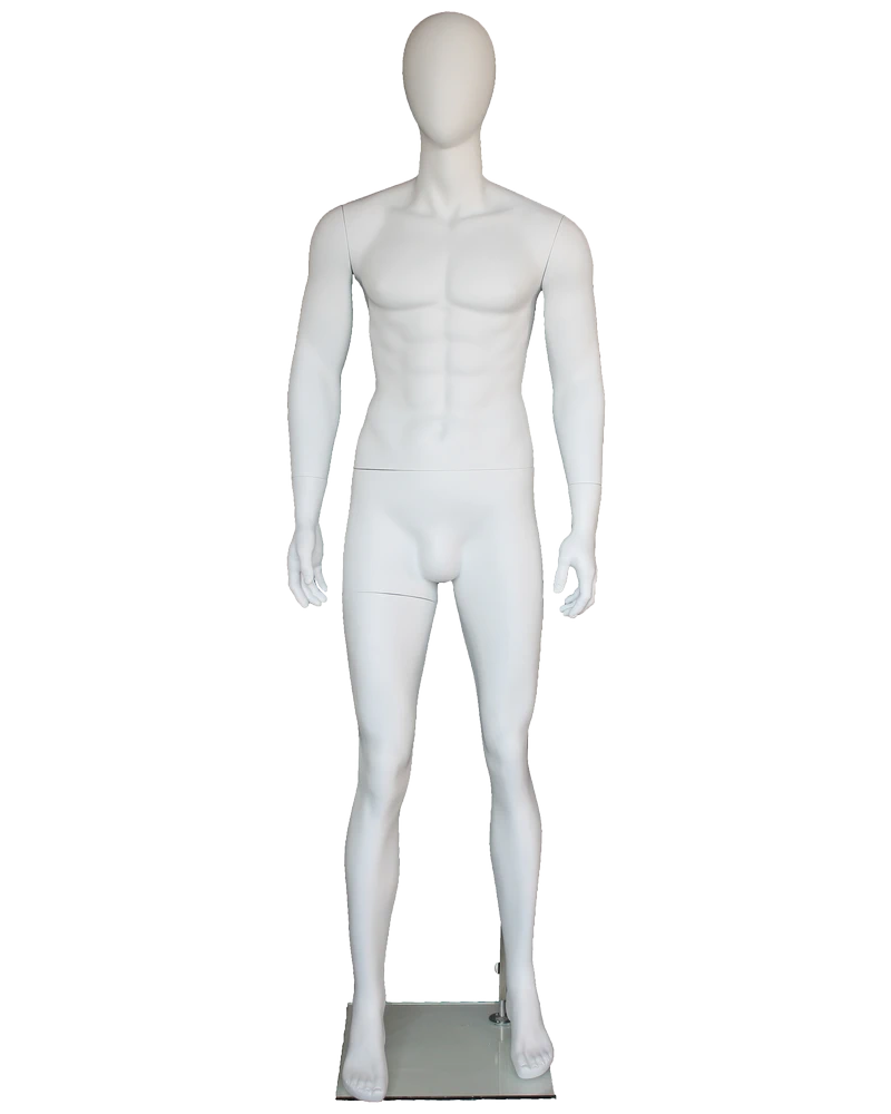 Muscular arms-at-sides egghead male mannequin in matte white, SFM29E-WT